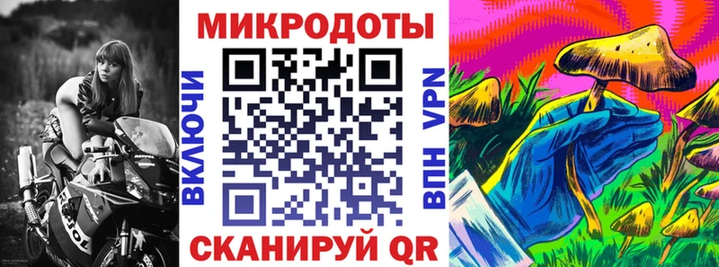 Псилоцибиновые грибы мицелий  Купить закладки  Благовещенск 
