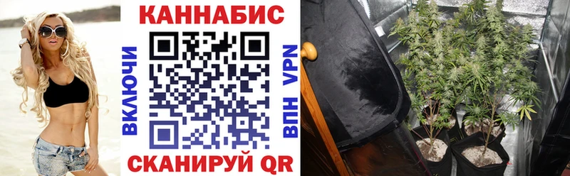 Купить  Благовещенск  Конопля OG Kush 